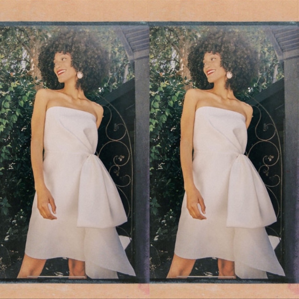 BHLDN Sachin & Babi Verdance Mini Dress - Picture 3 of 6